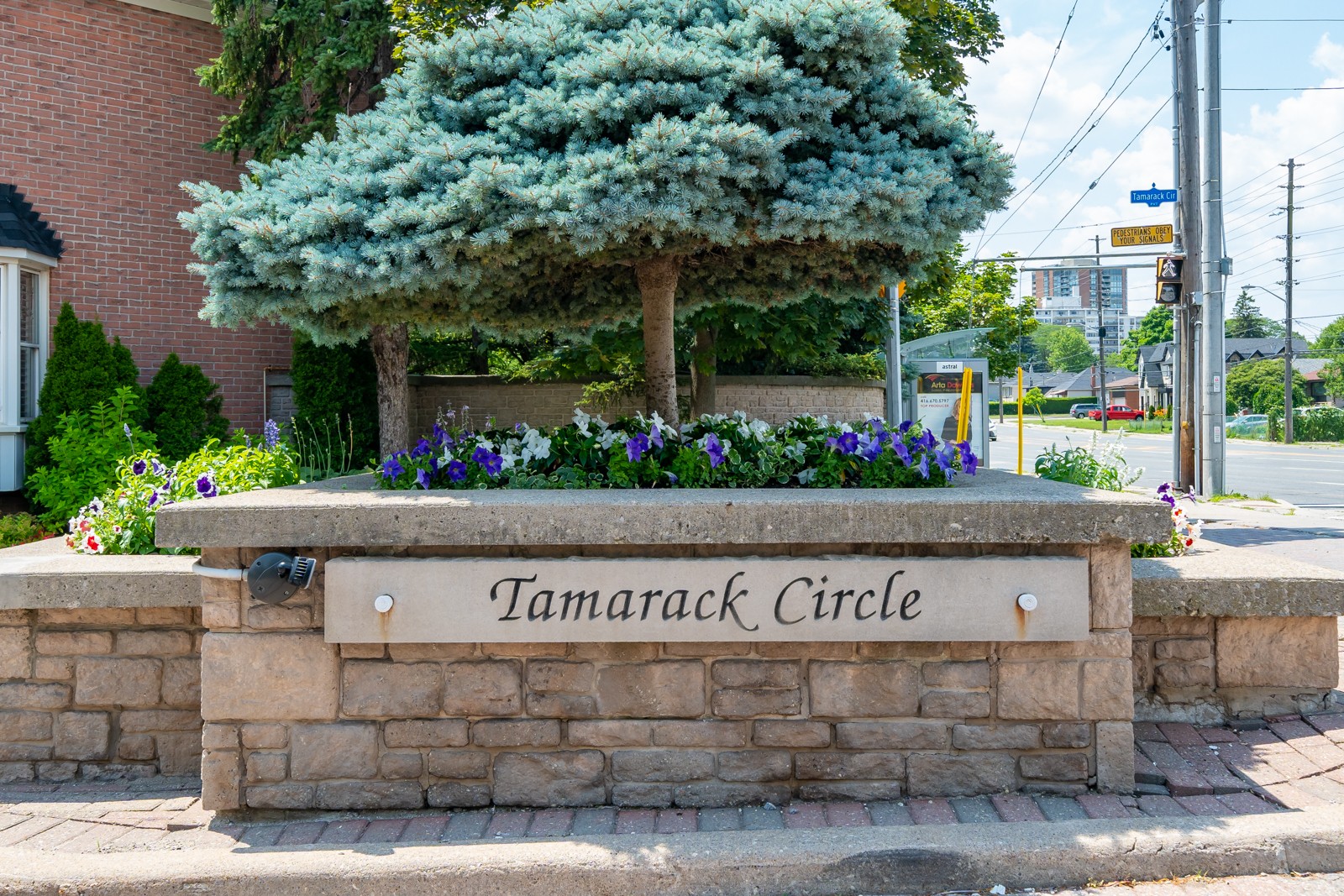 Tamarack Circle Townhouses 71 Tamarack Cir Condos.ca