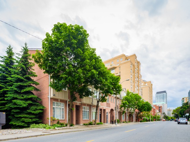 Hampton Mews