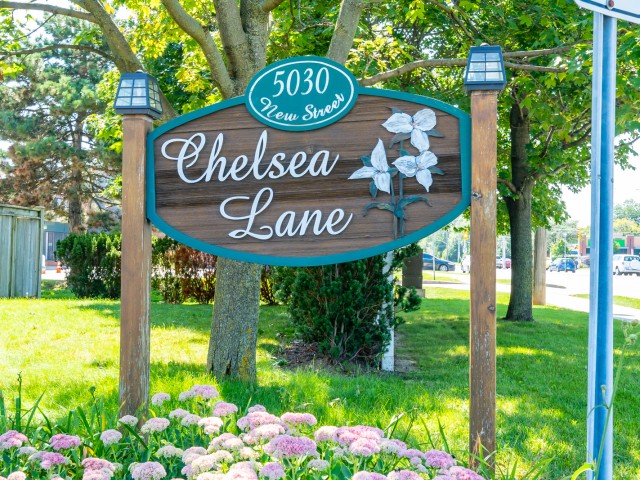 Chelsea Lane hero image