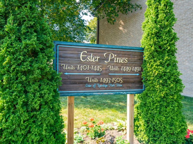 Ester Pines photo