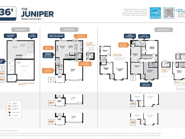 Juniper - Phase 2
