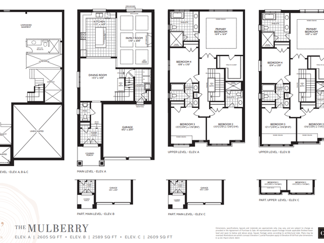 Mulberry