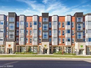 114 - 253 ALBERT Street