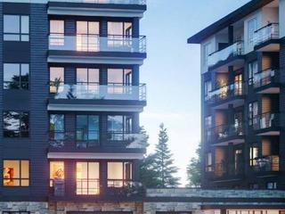 315 - 251 Northfield Drive