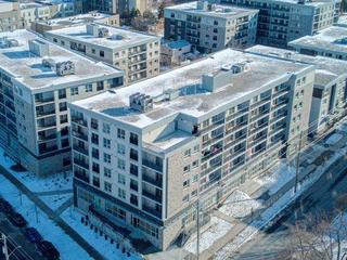 F401 - 275 Larch Street