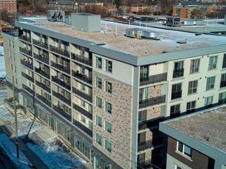 F502 - 275 Larch Street