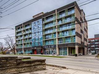 507 - 250 Albert Street