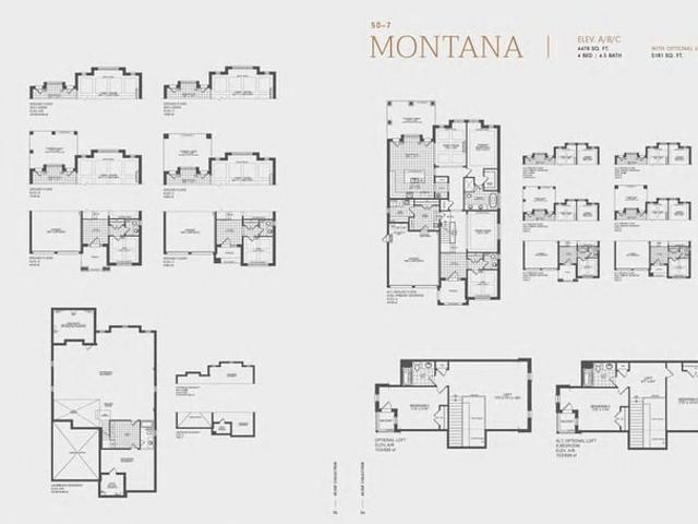 50' The MONTANA