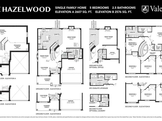 The Hazelwood