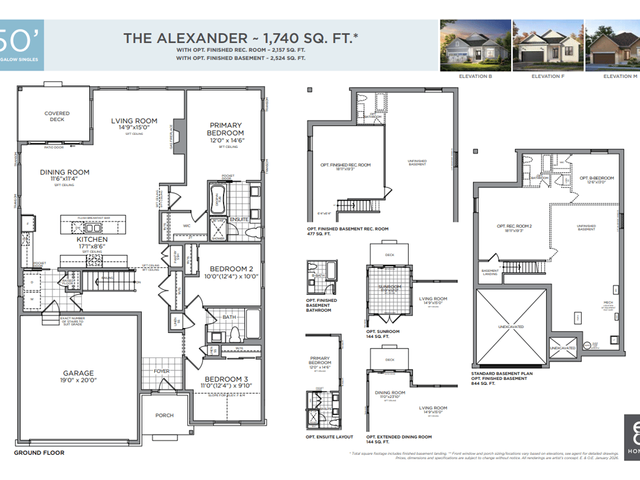 The Alexander