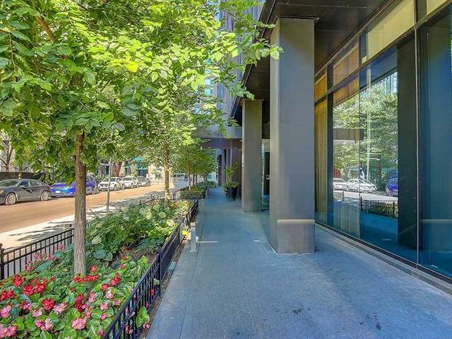 1101 - 101 Charles St E