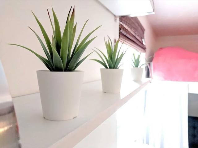 303 - 88 Charles St E