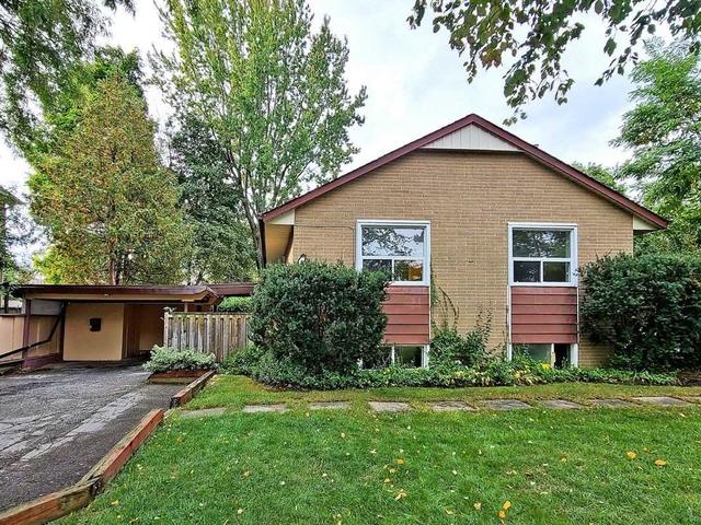 62 Norden Cres