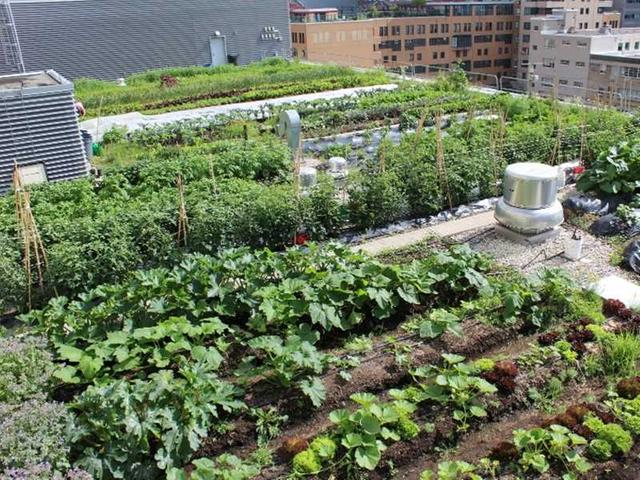 501 - 155 Dalhousie St