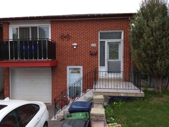 Mainfl - 100 Hazelnut Cres