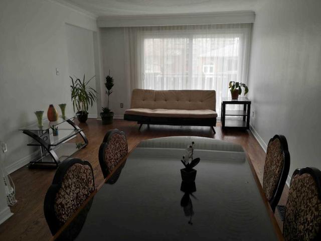 Mainfl - 100 Hazelnut Cres