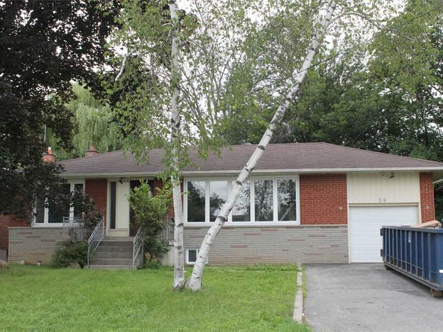 Main - 58 Maxwell St