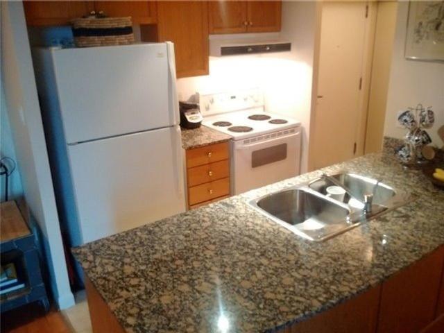 1253 - 313 Richmond St E