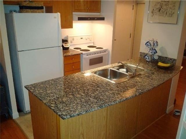 1253 - 313 Richmond St E