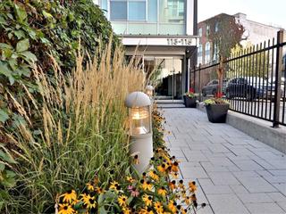 100 - 113 Dupont St