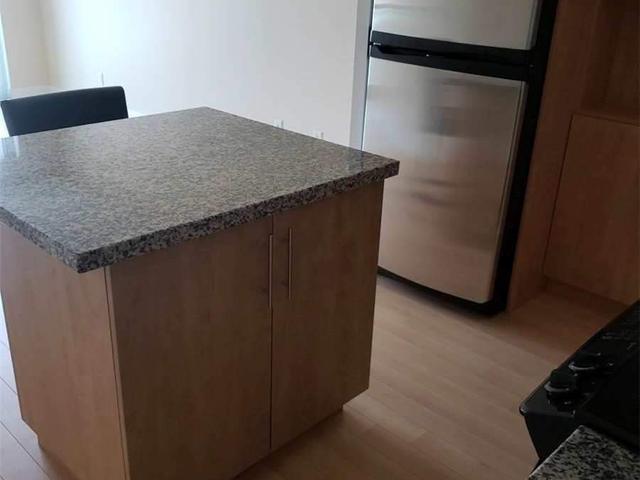 1602 - 120 Homewood Ave