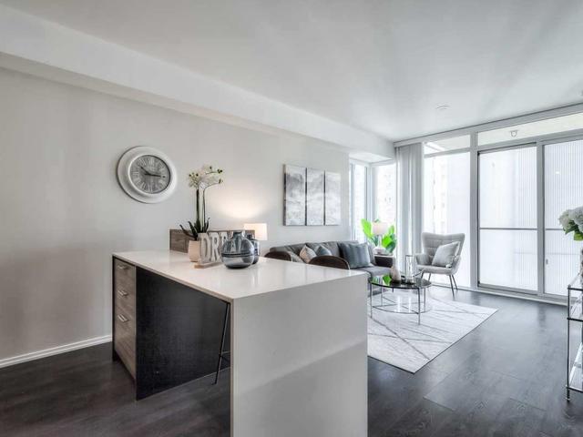 1305 - 75 St Nicholas St E