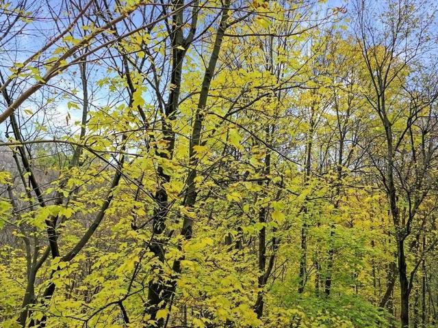 101 - 360 Bloor St E