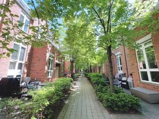 2017 - 12 Sudbury St