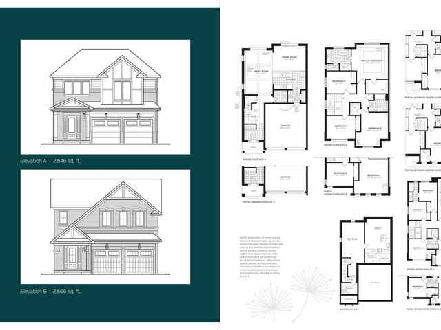 Orchid - Lot 2