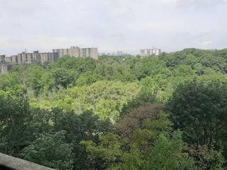 808 - 3 Massey Sq N