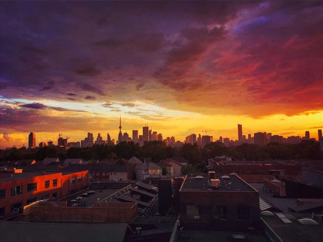 803 - 319 Carlaw Ave