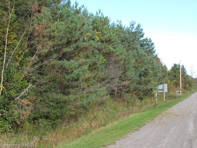 * Rr#1 Newtonville Rd