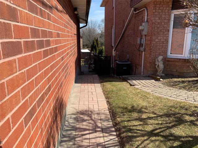 Basemen - 19 Mcdairmid Rd