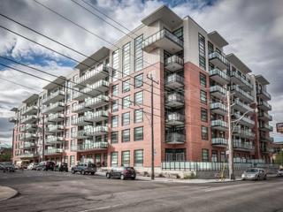 PH 11 - 88 Colgate Ave