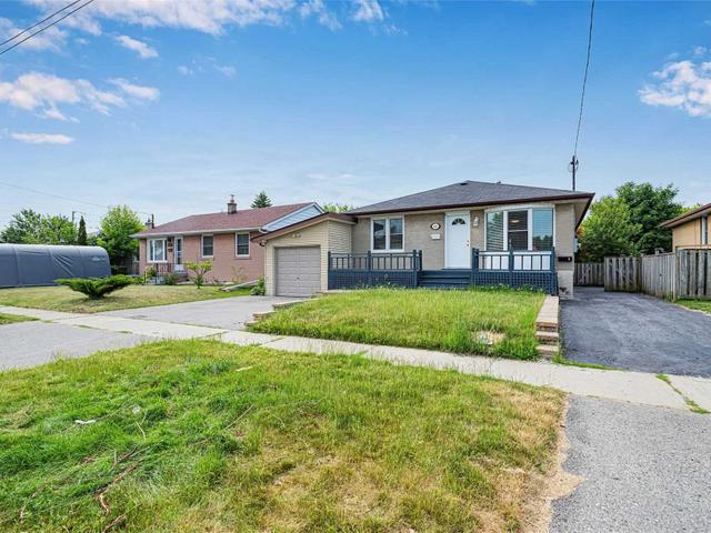 Lower - 443 Emerald Ave