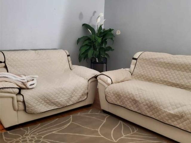 Mainflr - 34 Singleton Rd