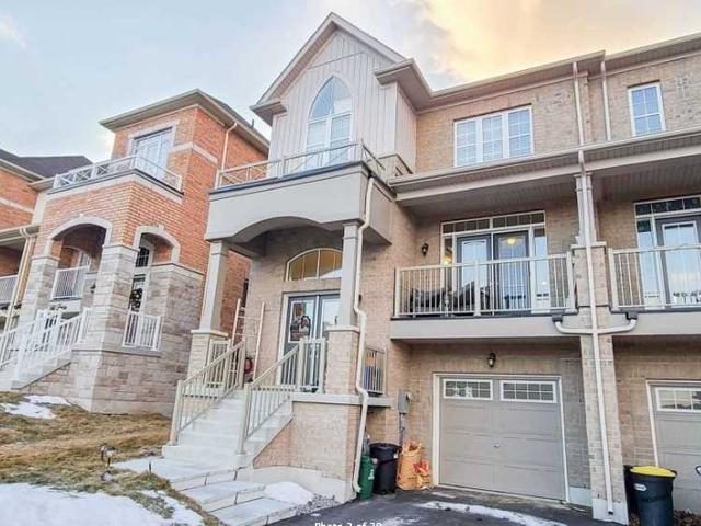 118 Elephant Hill Dr