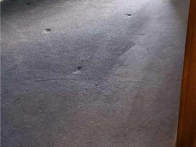 604 - 1665 Pickering Pkwy