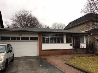11 Murray Ave
