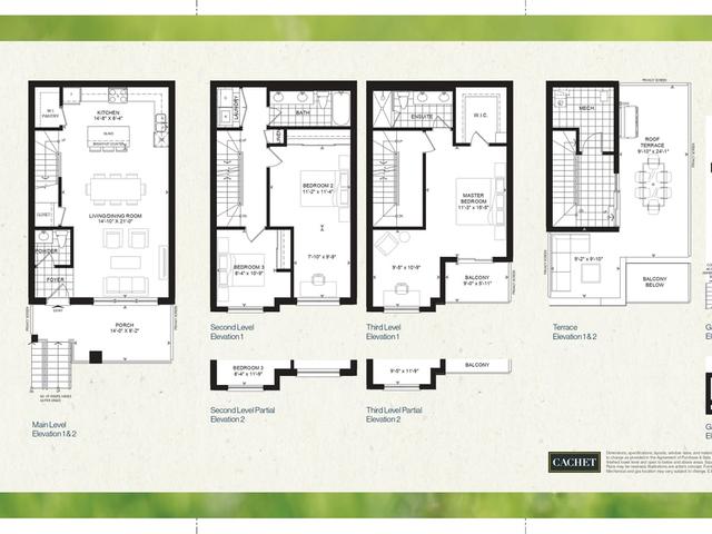 Fern - Lot 5-72