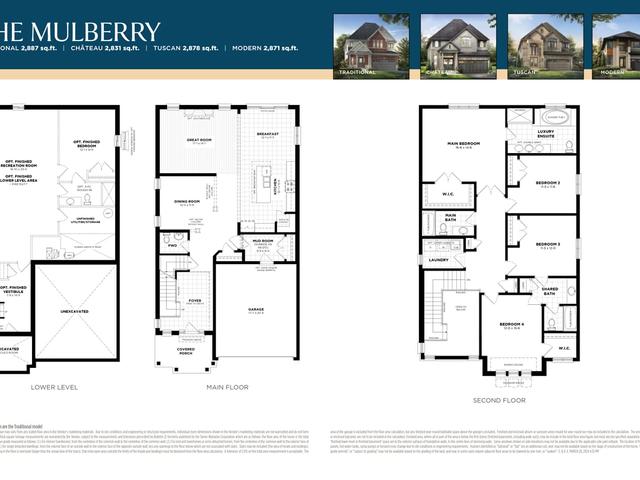 MULBERRY
