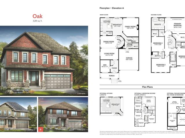 Oak (A)