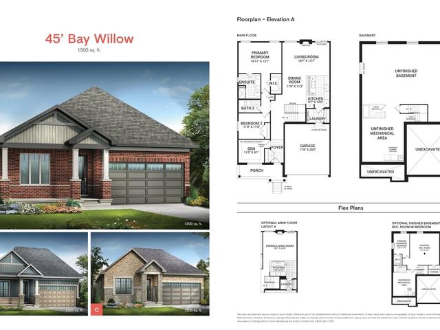 Bay Willow (A)