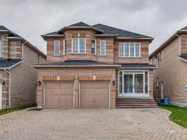 Lower - 55 Ferncliffe Cres