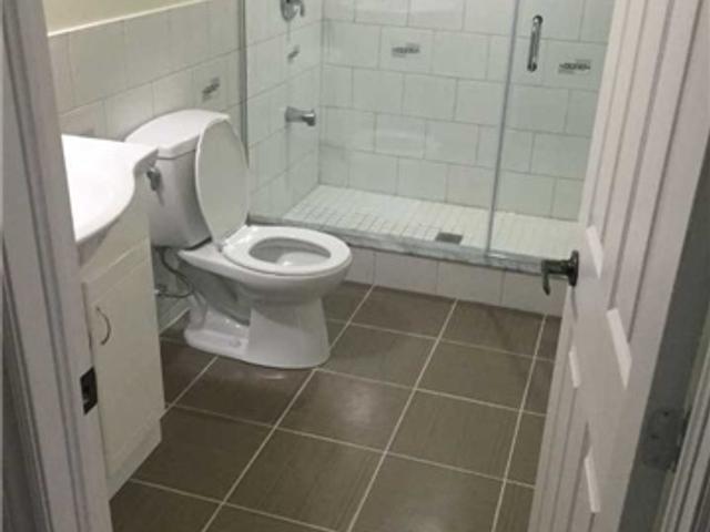 Lower - 55 Ferncliffe Cres