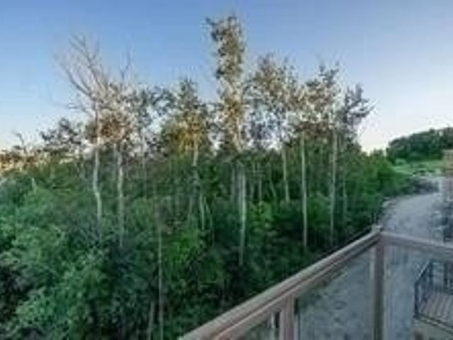 118 Carrville Woods Circ