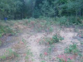 7009 County Rd 21 Rd