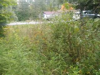 6905 County Rd 21 Rd