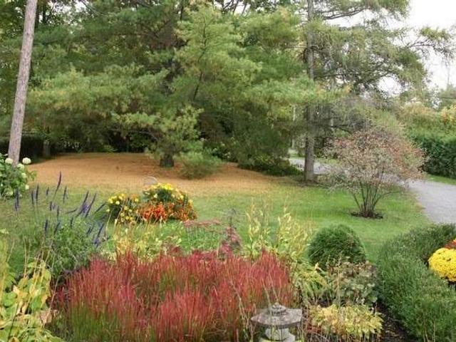 24800 Thorah Park Blvd