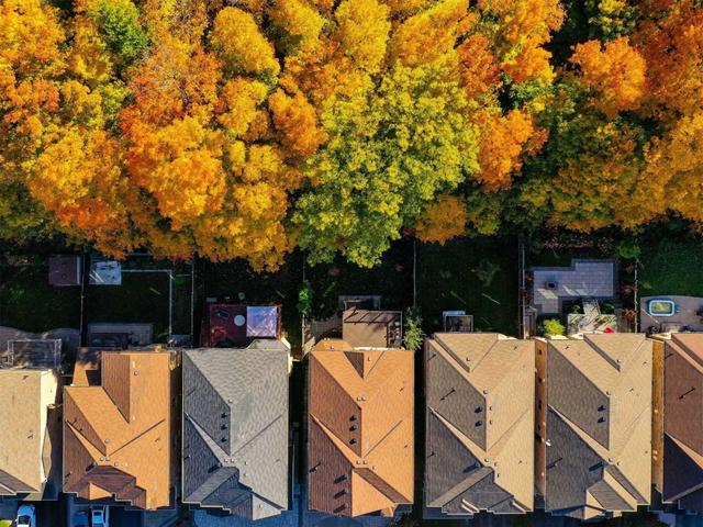 385 Maria Antonia Rd